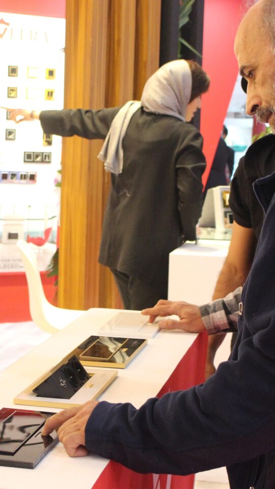 veera-electric-expo-power-1402-2[1]